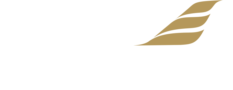 Egas Air